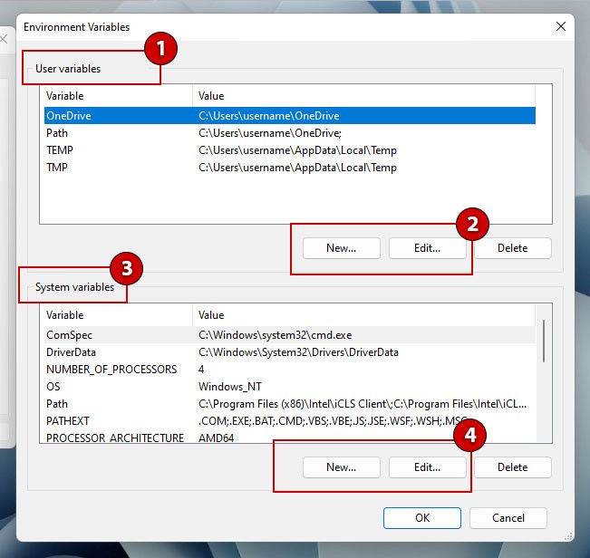 Windows 10/11 Environment Variables Dialog Box